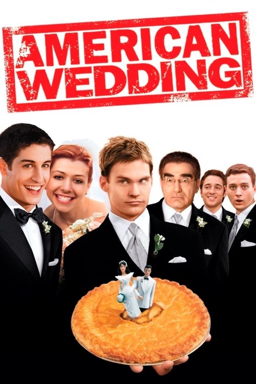 The Wedding Planner poster